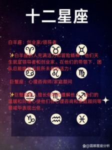 星座创业指南：谁更适合风雨历程？