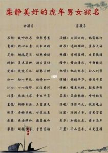 个性时尚：为虎宝宝挑选完美名字