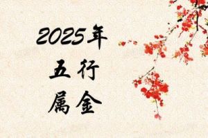 2025年双子男孩：五行缺火取名指南