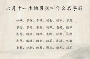 为狮子座男孩挑选时尚名字