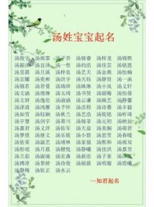 汤姓男孩名字精选：寓意深远的祝福