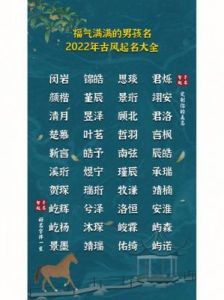 为2025年属龙男孩精选福气名字