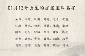 风度与涵养：2025男宝宝名字推荐