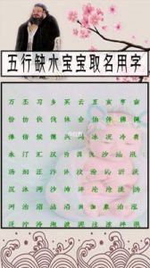 为壬寅虎年女宝宝挑选文雅名字