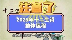 2025年十二星座运势全景预测