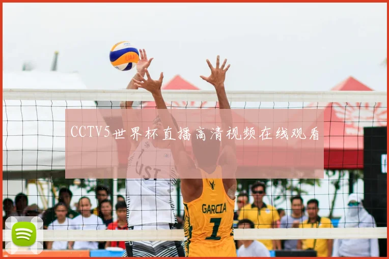 CCTV5世界杯直播高清视频在线观看