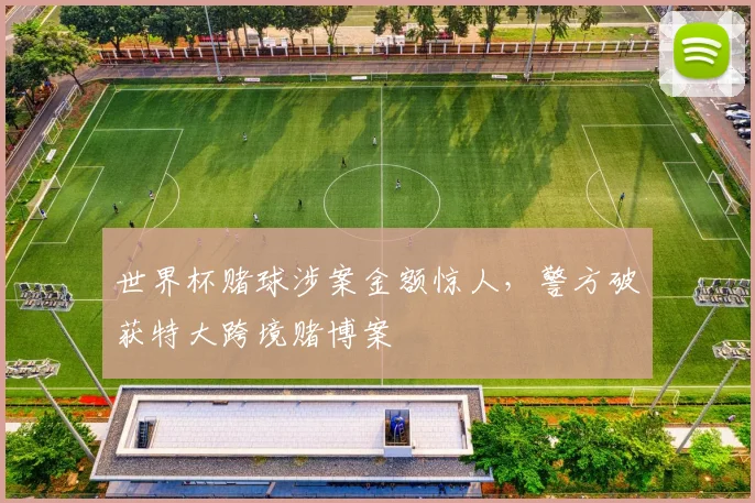 世界杯赌球涉案金额惊人,警方破获特大跨境赌博案