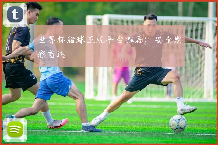 世界杯赌球正规平台推荐:安全购彩首选