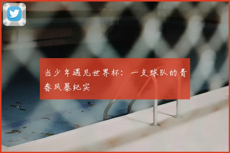 当少年遇见世界杯:一支球队的青春风暴纪实
