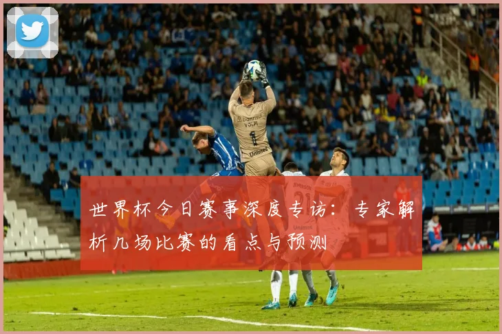 世界杯今日赛事深度专访:专家解析几场比赛的看点与预测