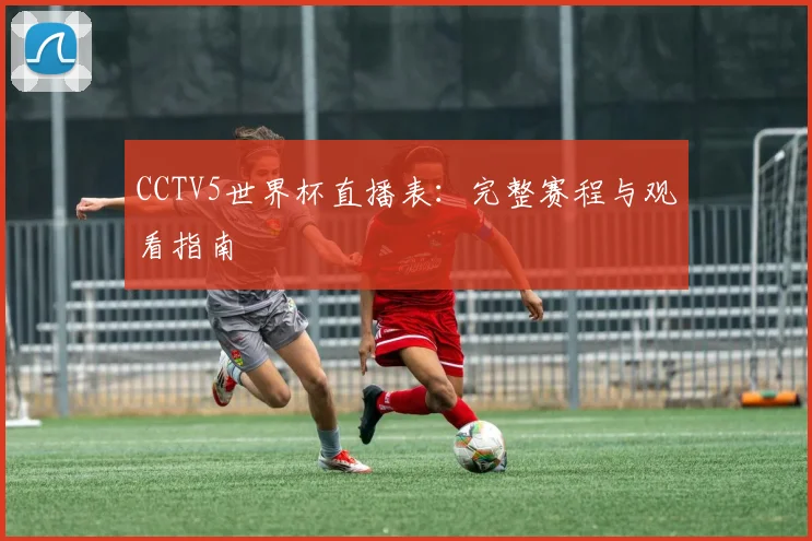CCTV5世界杯直播表:完整赛程与观看指南