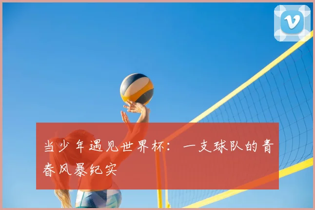 当少年遇见世界杯:一支球队的青春风暴纪实