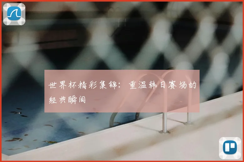 世界杯精彩集锦:重温韩日赛场的经典瞬间