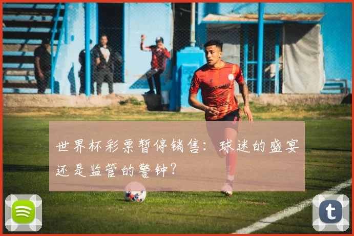 世界杯彩票暂停销售：球迷的盛宴还是监管的警钟？