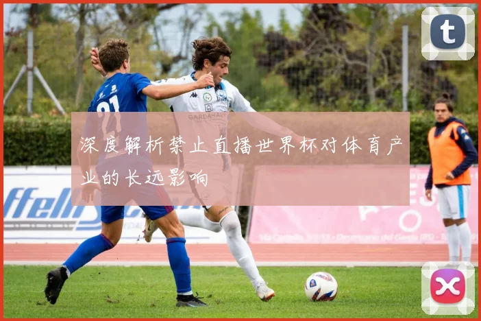深度解析禁止直播世界杯对体育产业的长远影响