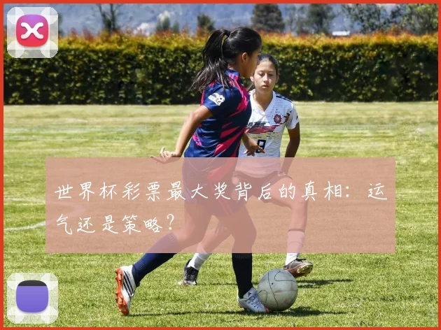 世界杯彩票最大奖背后的真相：运气还是策略？