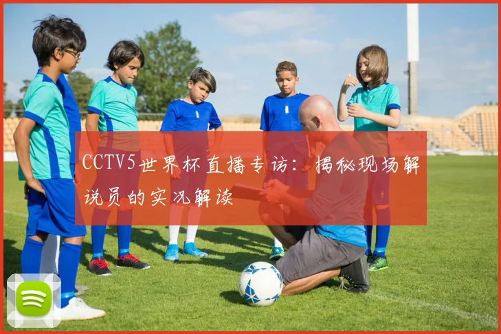 CCTV5世界杯直播专访:揭秘现场解说员的实况解读