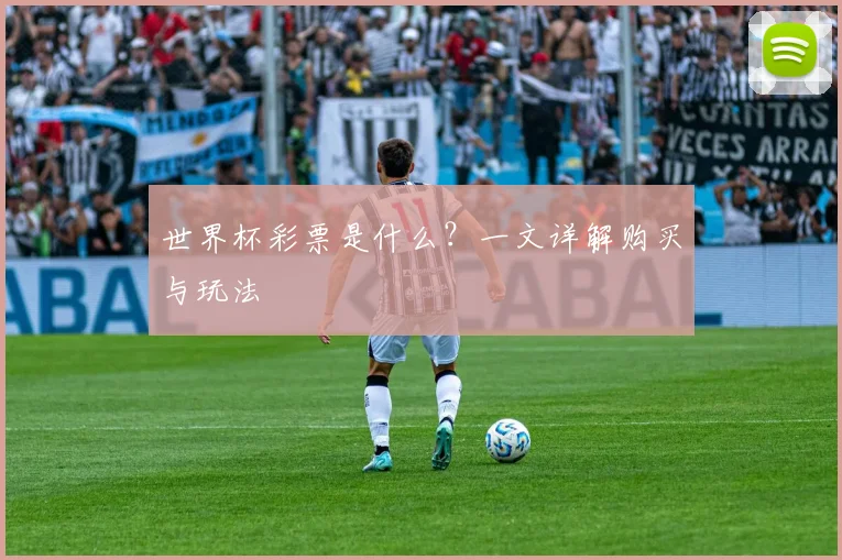 世界杯彩票是什么?一文详解购买与玩法