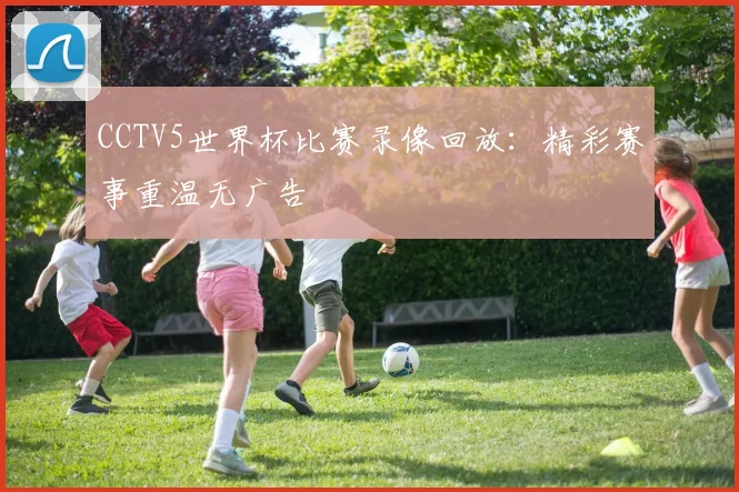 CCTV5世界杯比赛录像回放:精彩赛事重温无广告