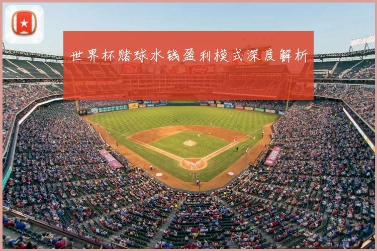 世界杯赌球水钱盈利模式深度解析