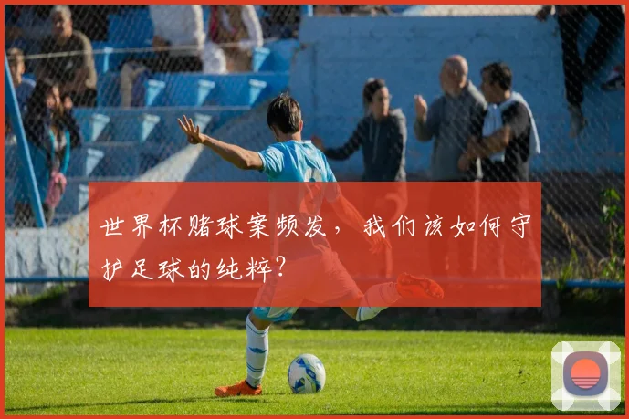 世界杯赌球案频发,我们该如何守护足球的纯粹?