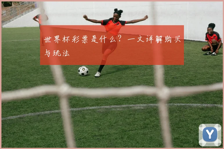 世界杯彩票是什么?一文详解购买与玩法